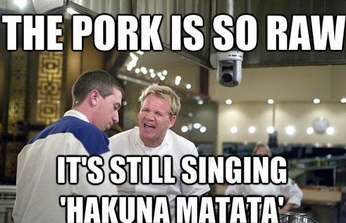 Gordon Ramsay MEME  Funlexia – Funny Pictures