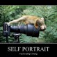 Portrait, you are doing it wrong