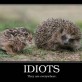 Idiots