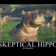 Skeptical Hippo is Skeptical