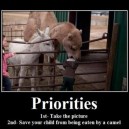 Priorities…