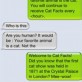 Epic SMS Trolling