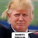 Donald Trumps Hairstyle