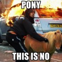 Come On Little Pony