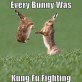 Fighting Bunny