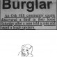 Smart Burglar…