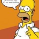 Homer Simpsons Quote