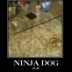Ninja Dog