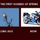 The First Sound of Spring