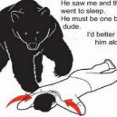 Bear Safety