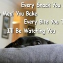 Every Dog Does That..
