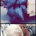 Lady Gaga Wants It!