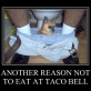 Eat on Taco Bell?