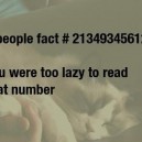 Lazy People Fact