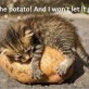 I Love This Potato!