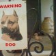 Warning For The Dog