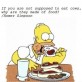 Epic Homer Simpson Quote