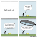 Optimistic Ant