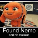 Finding Nemo. And More…