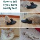 How to Tell if You Have Smelly Feet