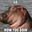 Flirting Hippo