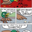 This is What Ducks Really Say