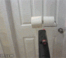 GIF – Toilet Paper Prank