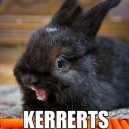 Carrots!!!