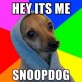 It’s Me! Snoop Dog!