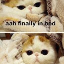 Finally in bed…