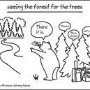 Seeing The Forest For The Trees