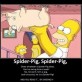Spider Pig!