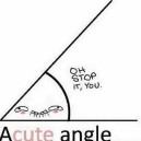 Acute Angle