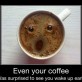 Even Your Coffee…
