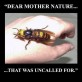 Dear Mother Nature…