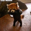 Fear Me!