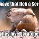 Itch a Scratch