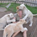 Play With They Lion Cubs They Said…