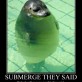 Submerge They Said…