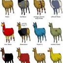 Different Types of Llamas