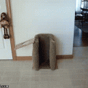 GIF – Dinner is Ready!