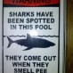 Warning! Sharks!