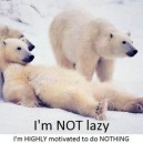 I’m Not Lazy…