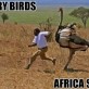 Meanwhile in Africa