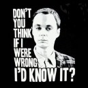 Sheldon Cooper Quote