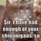 Disgruntled Otter is Disgruntled
