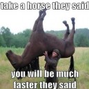 Take a Horse They Said…