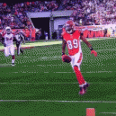 GIF – Awesome Touch Down Flip