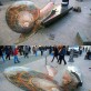 How 3D Street Art is Done