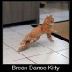 Break Dance Kitty